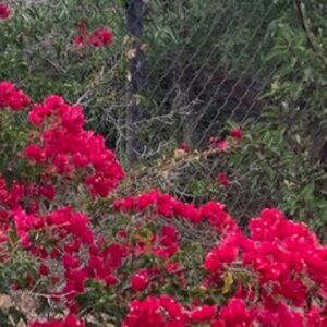 Meet your Posher, CLOTHESMINDEDUS